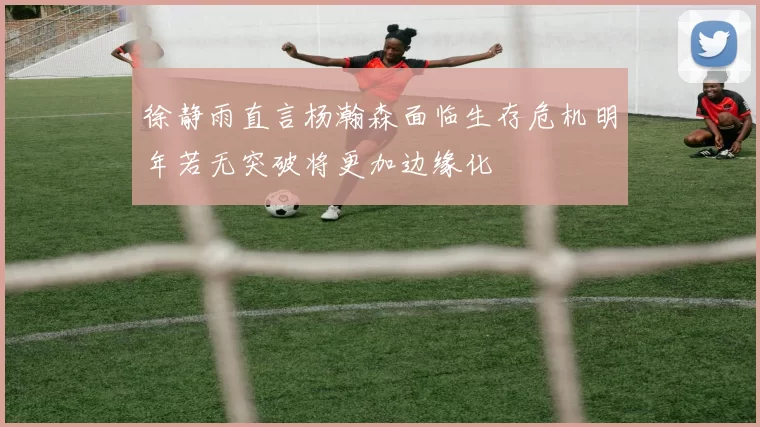 徐静雨直言杨瀚森面临生存危机明年若无突破将更加边缘化